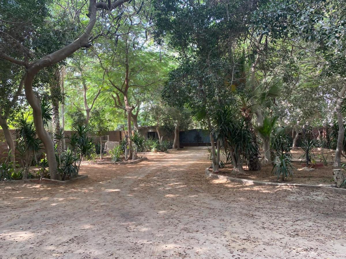 Villa By The Pyramids Κάιρο Εξωτερικό φωτογραφία