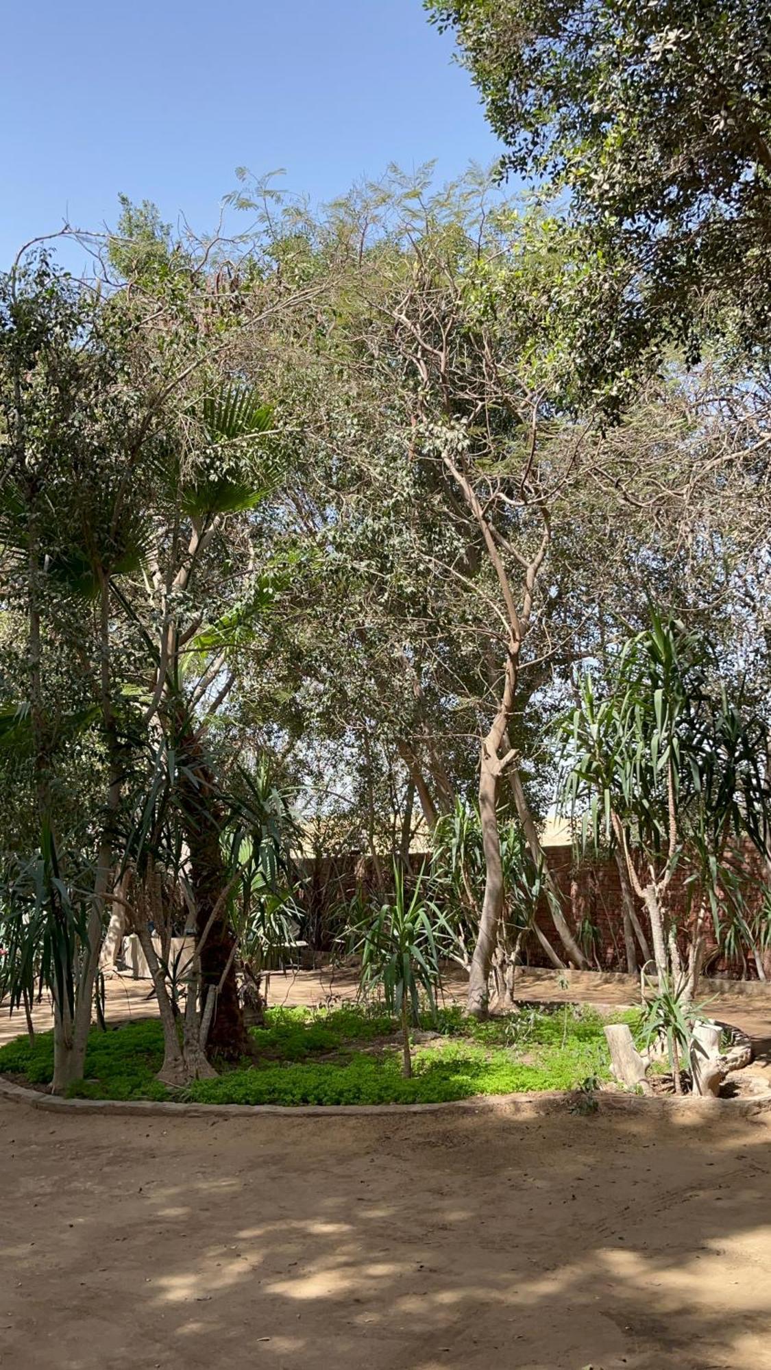 Villa By The Pyramids Κάιρο Εξωτερικό φωτογραφία