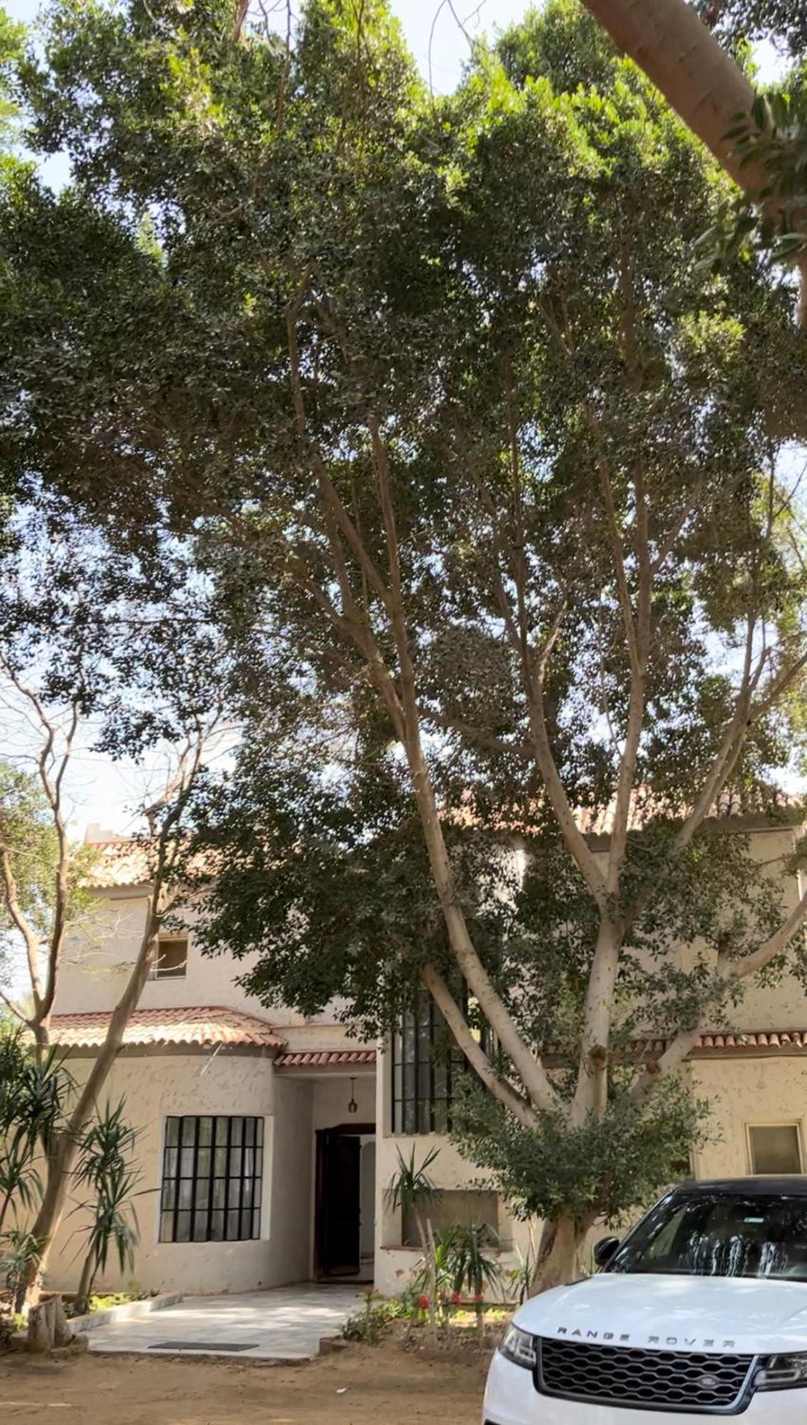 Villa By The Pyramids Κάιρο Εξωτερικό φωτογραφία