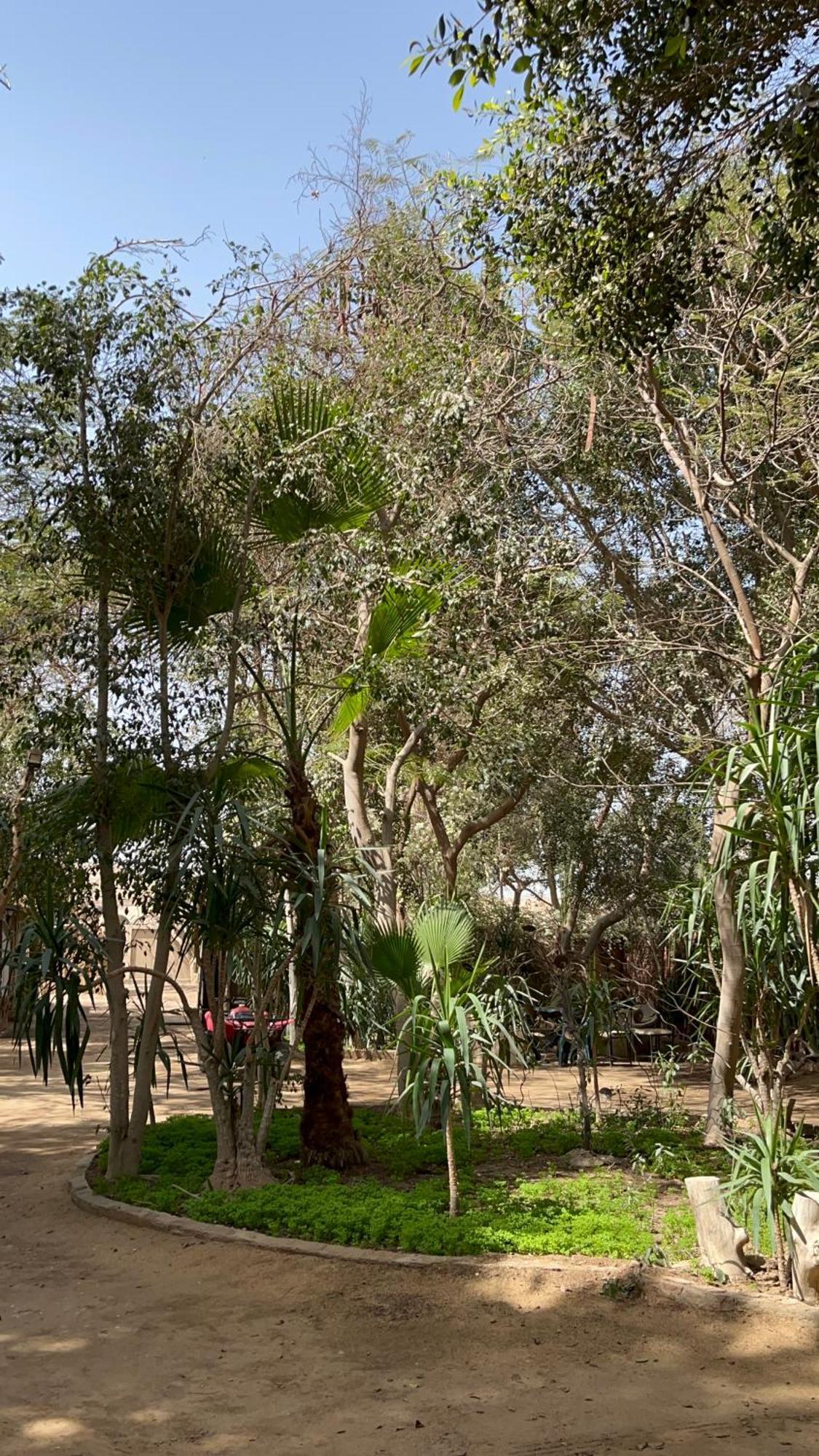 Villa By The Pyramids Κάιρο Εξωτερικό φωτογραφία